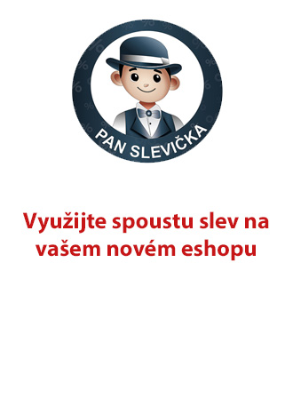 Pan Slevička